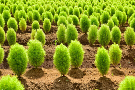 102 Best ひるがの高原 Images Stock Photos Vectors Adobe Stock