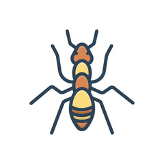 Color illustration icon for ant