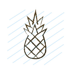 pineapple on a white background