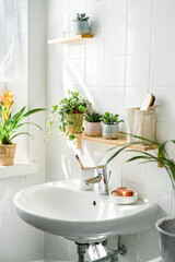 White bathroom with a sink next to a window. Green plans on shelves and shadows on the background....