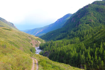 Fototapeta na wymiar mountain river in a gorge between mountains