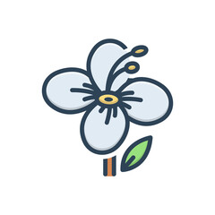 Color illustration icon for hiptage