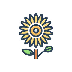 Color illustration icon for ice plant flowers