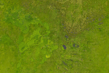 福島県、新潟県、群馬県にある尾瀬ヶ原をドローンで撮影した空撮写真 Aerial photos of Ose-ga-hara in Fukushima, Niigata, and Gunma prefectures taken by drone.