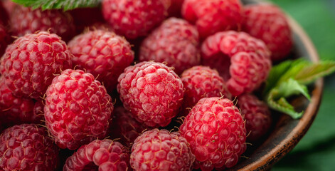 Fresh ripe juicy and appetizing raspberries and green leaves. Closeup