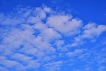 Naklejka na ściany i meble Blue sky with a few white clouds