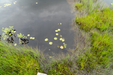 福島県、新潟県、群馬県にある尾瀬ヶ原をハイキングしている風景 Scenery of hiking in Ose-ga-hara in Fukushima, Niigata and Gunma prefectures.