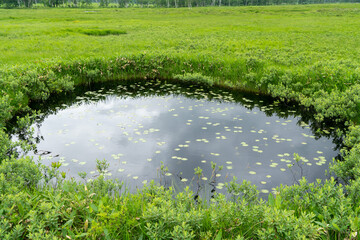 福島県、新潟県、群馬県にある尾瀬ヶ原をハイキングしている風景 Scenery of hiking in Ose-ga-hara in Fukushima, Niigata and Gunma prefectures.