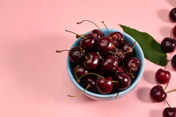 Sweet cherries bowl with leaves on pink background.