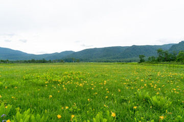 福島県、新潟県、群馬県にある尾瀬ヶ原をハイキングしている風景 Scenery of hiking in Ose-ga-hara in Fukushima, Niigata and Gunma prefectures.