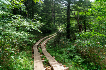 福島県、新潟県、群馬県にある尾瀬ヶ原をハイキングしている風景 Scenery of hiking in Ose-ga-hara in Fukushima, Niigata and Gunma prefectures.