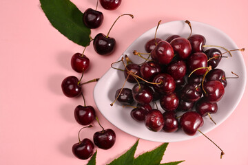 Fresh ripe cherries with leaves on pink pastel background.