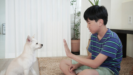 흰색 강아지와 함께 있는 남자아이 a boy with a white dog © Minji