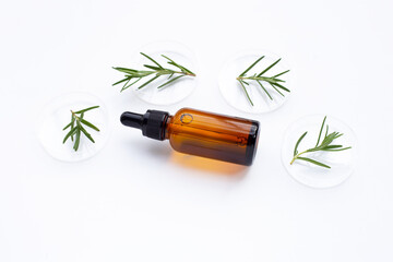 Essential oil with rosemary leaves in petri dishes on white background.