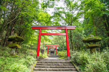 Fototapeta na wymiar red gate of japanese shrine
