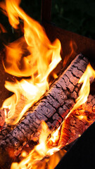Burning firewood in the fireplace close up. - 449483931