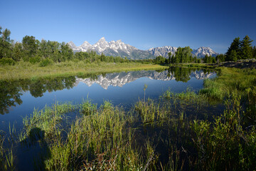 grand teton reflection