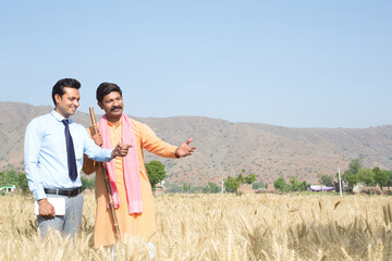 Farmer with agronomist examining wheat crop