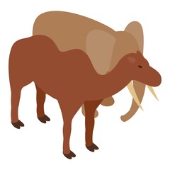 Asian animal icon isometric vector. Asian elephant and bactrian camel. Zoo animal