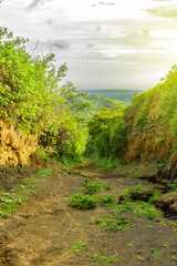 A path surrounded by vegetation with a hill in the background, A path that leads to a hill