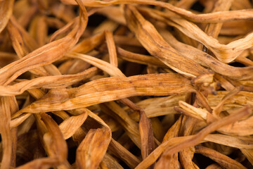 close up of dried day Lily texture background