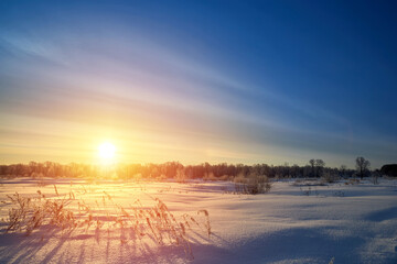 Dry grass against cold winter sunrise in Russia.