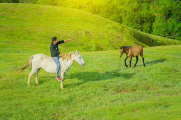 Obraz na płótnie Canvas Young man in the field riding horse, A man riding horse in the field and pointing, riding a beautiful horse in the field