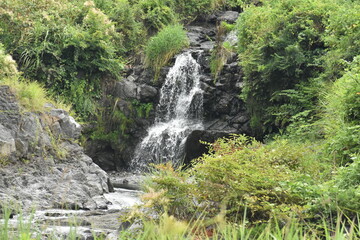 精進川の滝
