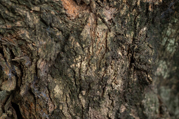 texture