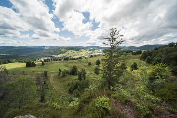 nature landscape in summer in southern germany near bernau in the black forest.