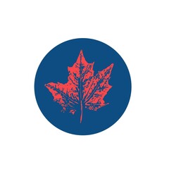 round icon orange maple leaf print for highlights in social networks, maple leaf on blue background of a circle