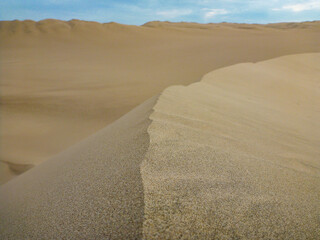 Fototapeta na wymiar ペルー・ワカチナの砂漠にて背中の峰と砂粒の質感