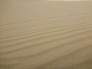 Fototapeta na wymiar ペルー・ワカチナの砂漠の風紋と波紋のクローズアップ