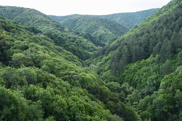 Fototapeta na wymiar Green forest hills after the rain. Greece