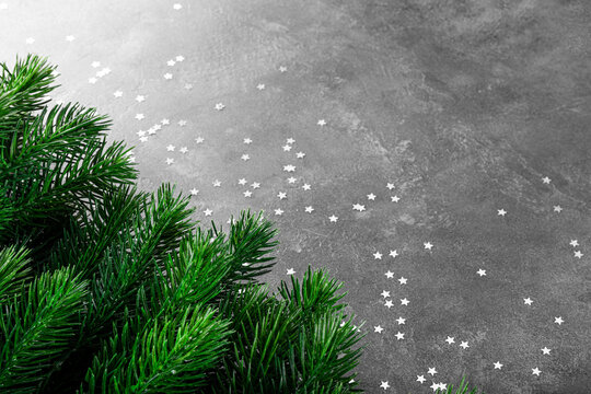Fluffy green spruce branches and silver stars on gray background, christmas concept with free space for text