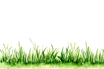 Fototapeta premium Watercolor illustration of green grass.