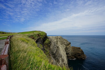 a beautiful landscape with a seaside walkway