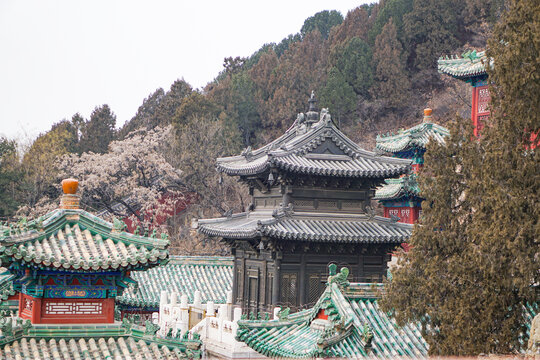 Ancient Chinese buildings and trees in the winter,Ancient Chinese architecture in snow,Chinese temple in snow scene.