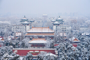 Beautiful Forbidden City in snow - China