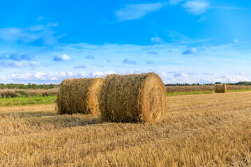 Strohballen ernte 