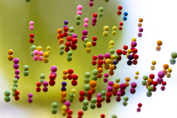 Styrofoam beads of different colors are reflected on a surface of the glass, mirror. Little colorful balls. Multicolored balloons floating down, hanging in the air. Concept of holiday, gifts, fun.