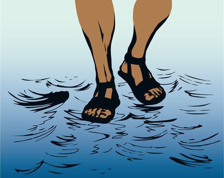 Legs walk on the water. Vector drawing
