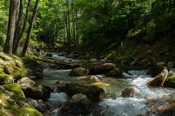 Obraz premium 梓川の景色／長野県川上村 