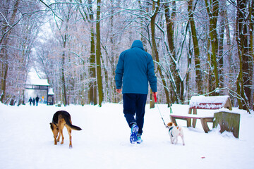 Szybki spacer w zimowy dzień