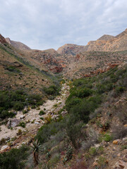 Swartberg Pass through the Swartberg Mountains. Great Karoo. Prince Albert. Western Cape. South Africa