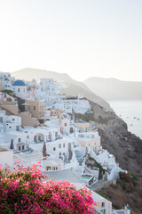 Fototapeta premium A sunrise shot of Oia village in Santorini island, Greece. Hotels and white buildings with blue dome churches in the background with bougainvillea flowers