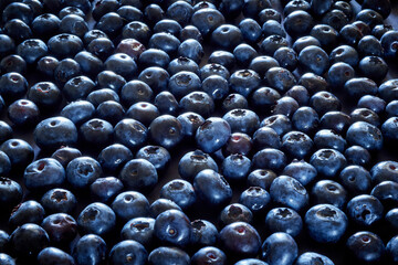 Fresh ripe blueberries on a dark background