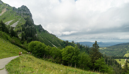 Naklejka premium Swiss alps