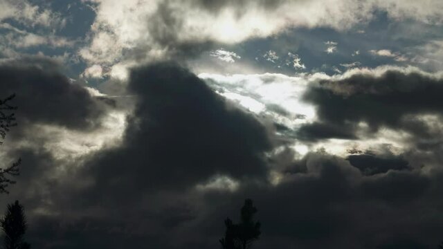 Cloud-drift timelapse. Low clouds are flying over the tops of the trees. The sun flashes in the breaks of clouds