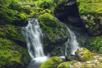 Naklejka na ściany i meble Moss-covered forest waterfall. Mountain stream. Summer.